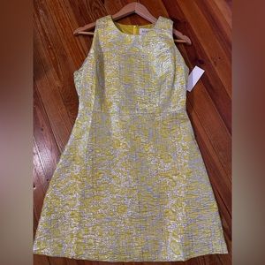 NWT Aura dress